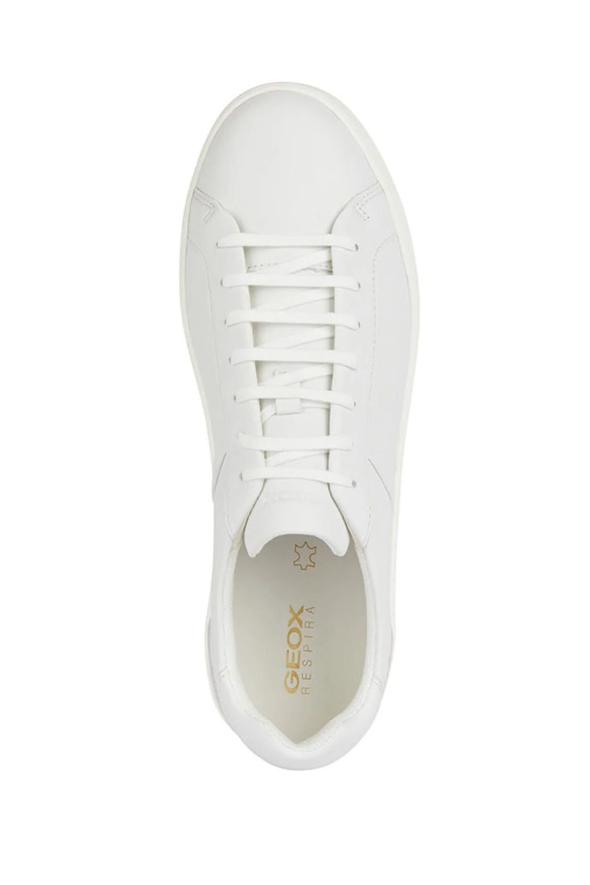 Geox Erkek Beyaz Regio Bağcıklı Deri Sneaker - Image 5