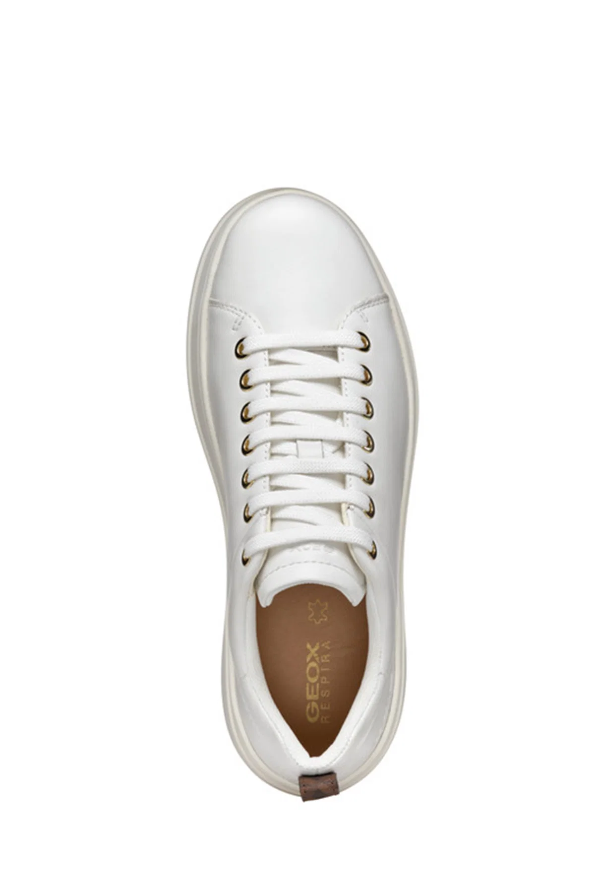 Geox Kadın Beyaz Spherica Ecub-2 Bağcıklı Deri Sneaker - Image 7