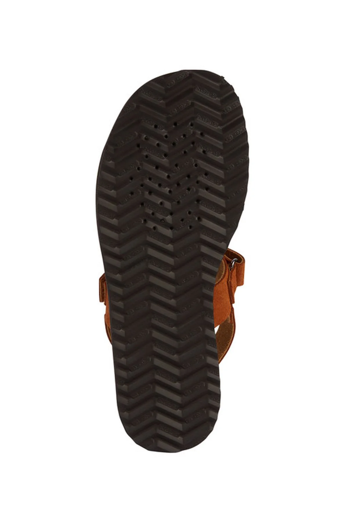 Geox Kadın Kahverengi Leuca Bantlı Süet Deri Sandalet - Image 6