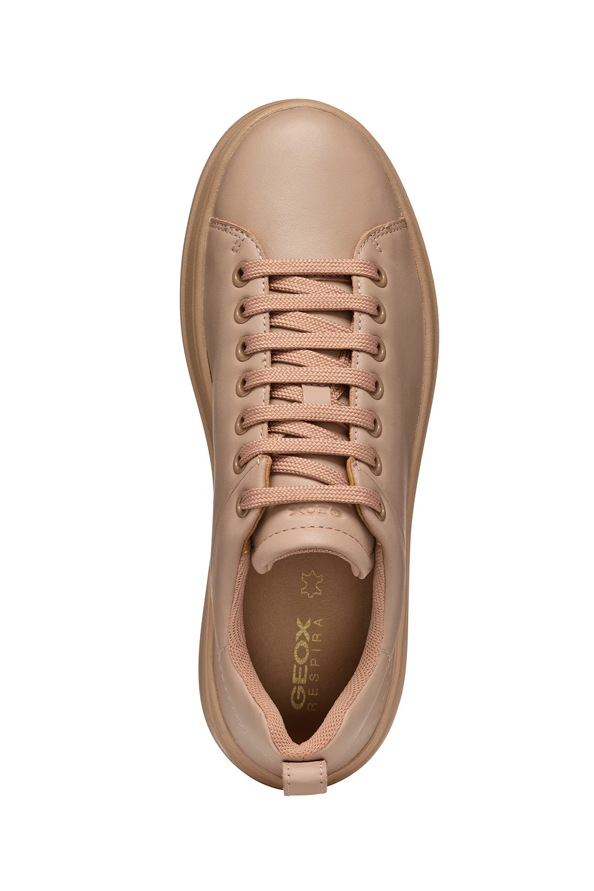 Geox Kadın Krem Spherica Ecub-2 Bağcıklı Deri Sneaker - Image 5